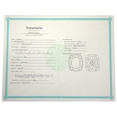 Tiffany Fancy Yellow Diamond .70ct Soleste PT950 18KT Necklace